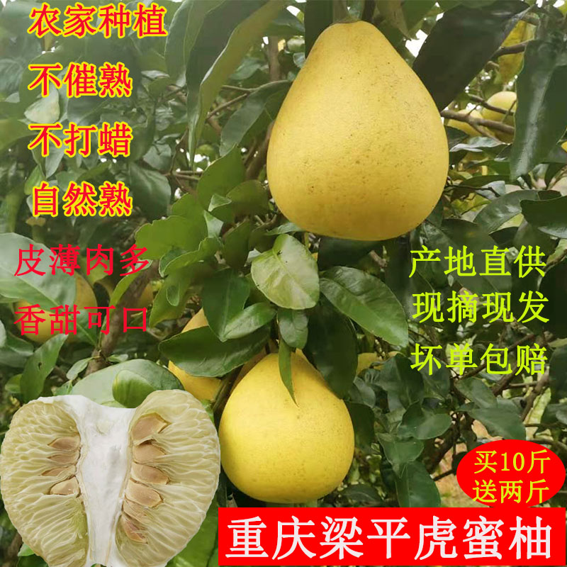 梁平柚子虎蜜柚重庆梁平特产农家种植自然成熟当季水果小黄皮柚子