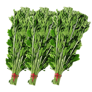 新鲜艾草叶带杆整颗艾叶蒿子端午节挂门手工艾草花束diy泡脚泡澡