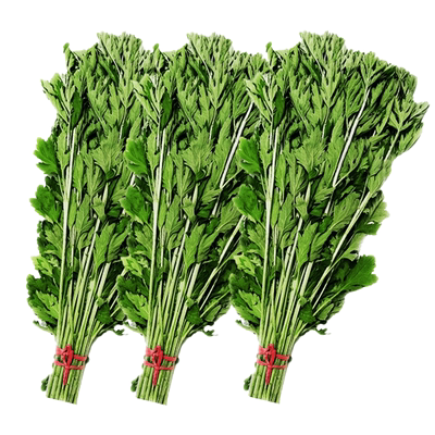 新鲜艾草花束挂门花环