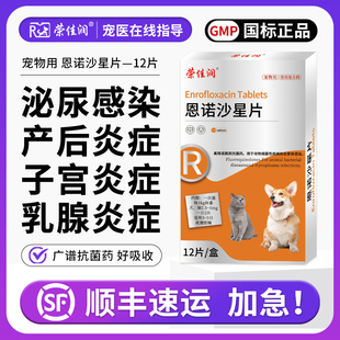 荣佳润宠物利尿通狗狗产后消炎药猫咪用尿道炎尿路感染恩诺沙星片