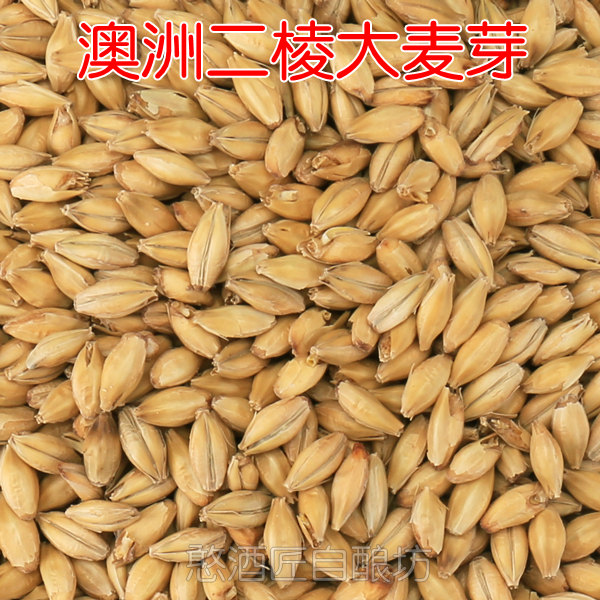 进口大麦芽淡色艾尔麦芽