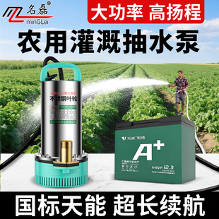 12V抽水泵大功率24伏直流潜水泵48v60v72v电动车电瓶车专用水泵机