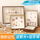 海边贝壳海螺diy标本框中空手工相框摆台植物粘土干花保存展示框