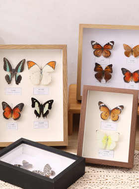 中空相框摆台手工diy蝴蝶a4昆虫标本盒立体框干花保存展示框画框