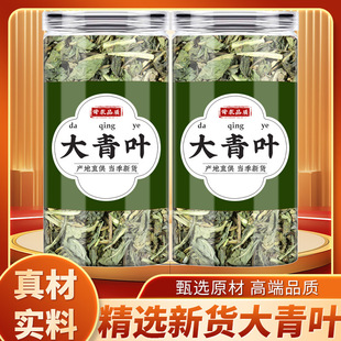 大青叶中药材正品大青叶茶功效与作用新鲜大青叶片干货大青叶