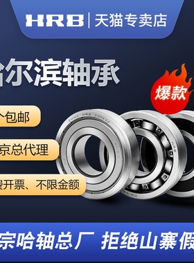 HRB 6807 ZZ 61807-2Z 内径35mm外径47mm厚度7mm 哈尔滨轴承 正品