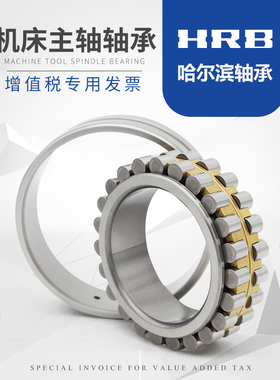 HRB哈尔滨轴承 精密机床主轴轴承 NN3020 KP4W33 C3182120K 总厂