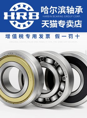 HRB 哈尔滨轴承 6306 Z ZZ RZ 2RZ 2Z RS N CM 哈尔滨总厂 正品