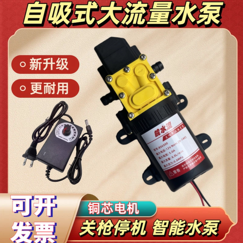 家用小型抽水泵小型自吸泵抽水泵