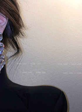 925银针欧美时尚夸张满钻耳环巴洛克风镶钻长款耳坠闪钻耳饰