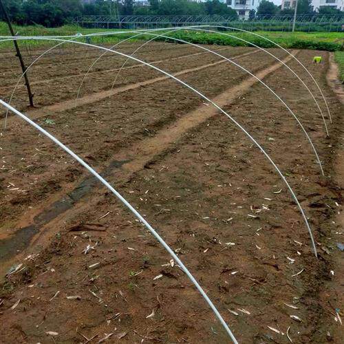 保温棚架子菜地小拱棚支架塑料大棚支架种菜专用棚架菜棚拱杆庭院