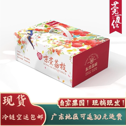 妃子笑荔枝新鲜2026时令水果东莞自家果园端午送礼现摘空运包邮