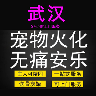 武汉宠物火化殡葬狗狗猫兔子善终骨灰制作纪念品无痛安乐上门服务