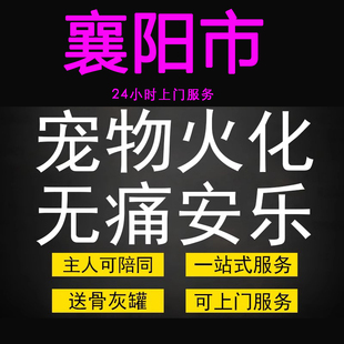 襄阳市宠物火化殡葬毛孩子狗狗猫兔善终骨灰纪念无痛安乐上门服务