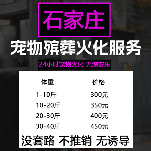 石家庄宠物殡葬善终猫咪兔子狗狗仓鼠毛孩子火化无痛安乐上门服务