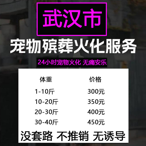 武汉市宠物殡葬善终猫咪兔子狗狗仓鼠毛孩子火化无痛安乐上门服务