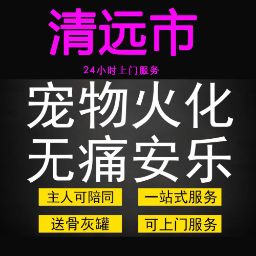 清远市宠物火化殡葬毛孩子狗狗猫兔善终骨灰纪念无痛安乐上门服务