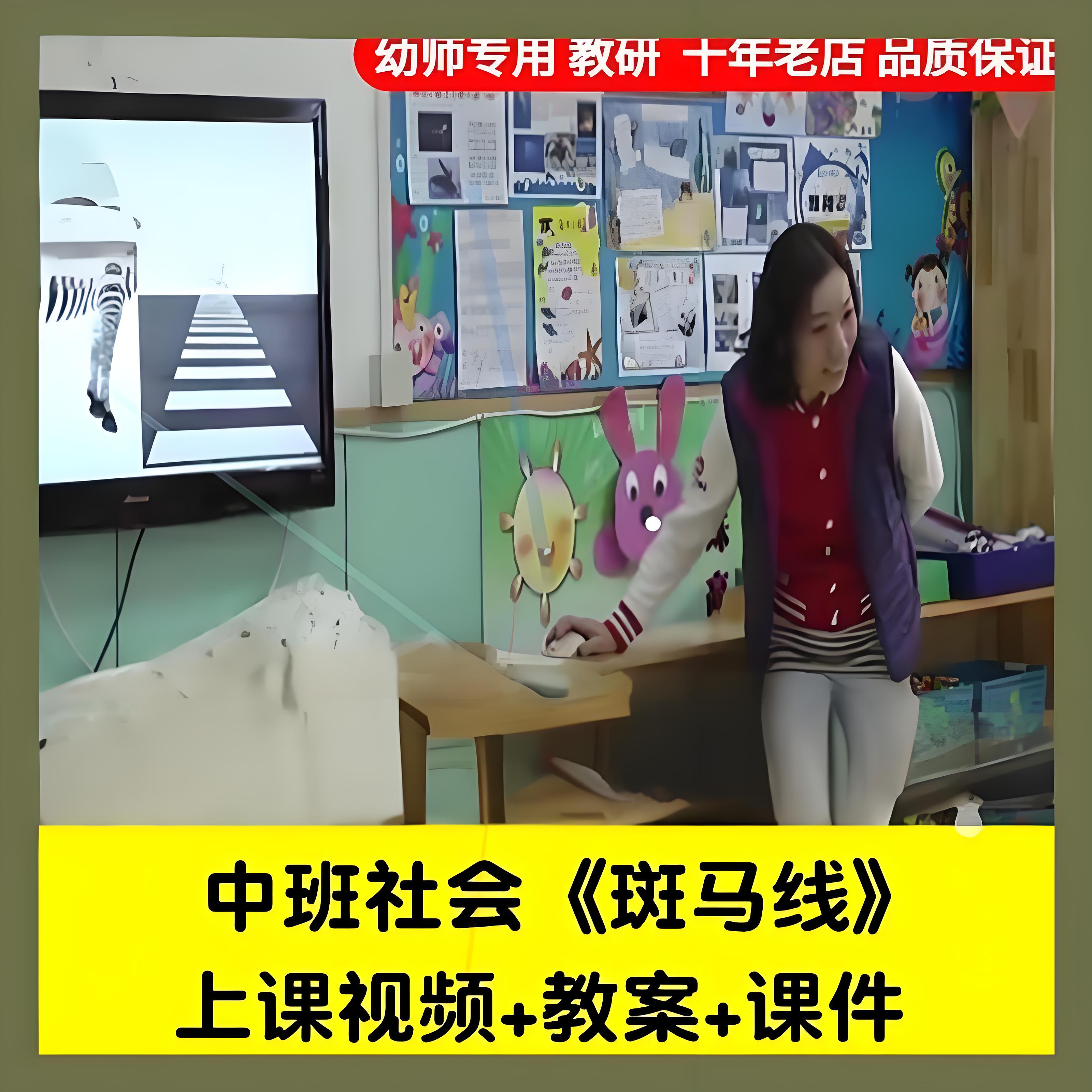 幼儿园中班社会《斑马线》交通规则交通安全公开优质公开课件PPT