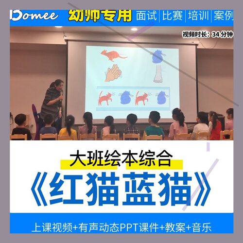 幼儿园优质公开课大班语言绘本综合《红猫蓝猫》视频ppt课件教案