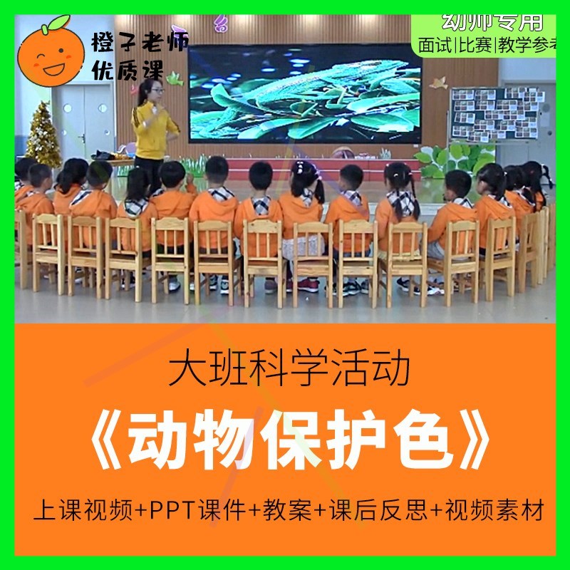 幼儿园教师比赛优质公开课大班科学《动物保护色》1