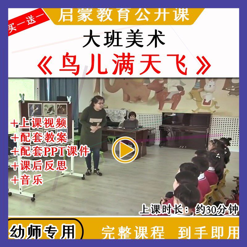 幼儿园优质公开课大班美术《鸟儿满天飞》中国风视频教案课件ppt