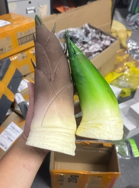 仿真竹笋模型绿色青笋大号毛竹笋家居装饰摆件熊猫搭配PU材质包邮