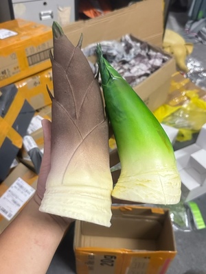 仿真竹笋模型绿色青笋大号毛竹笋家居装饰摆件熊猫搭配PU材质包邮