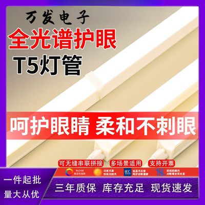 t5全光谱护眼灯管全套一体化led