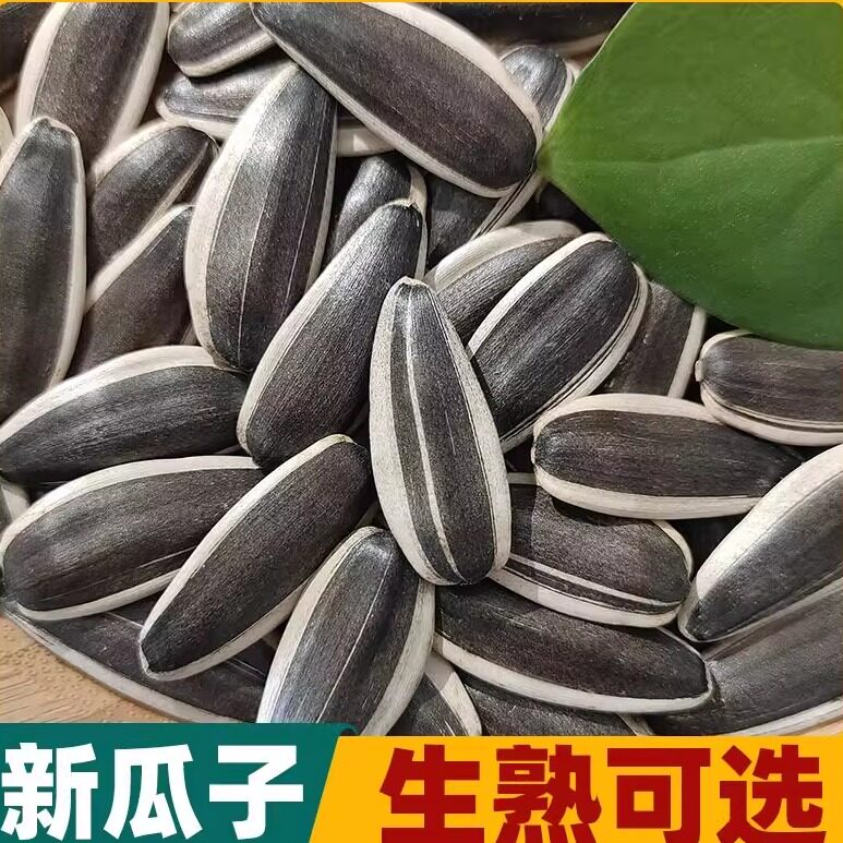 新货生瓜子带壳薄皮即食2斤装生鲜葵花籽食用健康未加工爆款清仓
