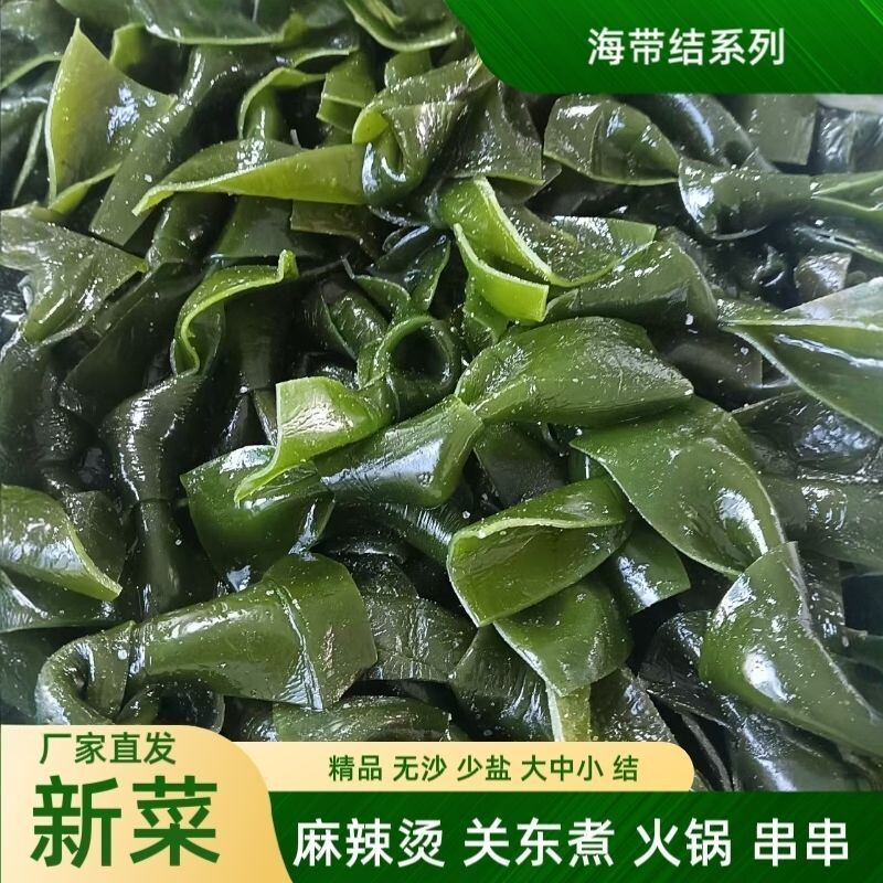 整箱批发新鲜盐渍海带结非干货无沙海带扣商用凉拌麻辣烫煲关东煮