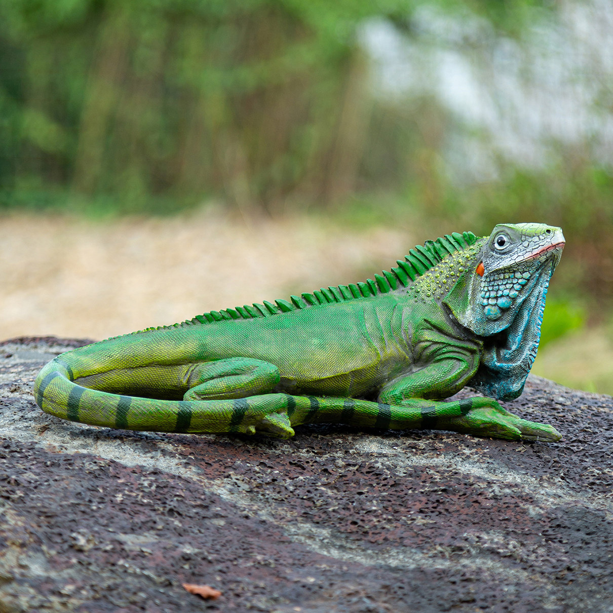 花园装饰 庭院摆件 户外草坪园林装饰动物仿真蜥蜴雕塑摆件,家居饰品,户外/庭院摆件,淘宝优惠券,粉丝福利购,淘宝优惠卷