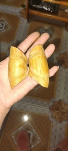 瑶族竹卦竹筶竹卦竹根卦老款金竹广西卦竹卦竹筶圣卦圣杯卦阴阳卦