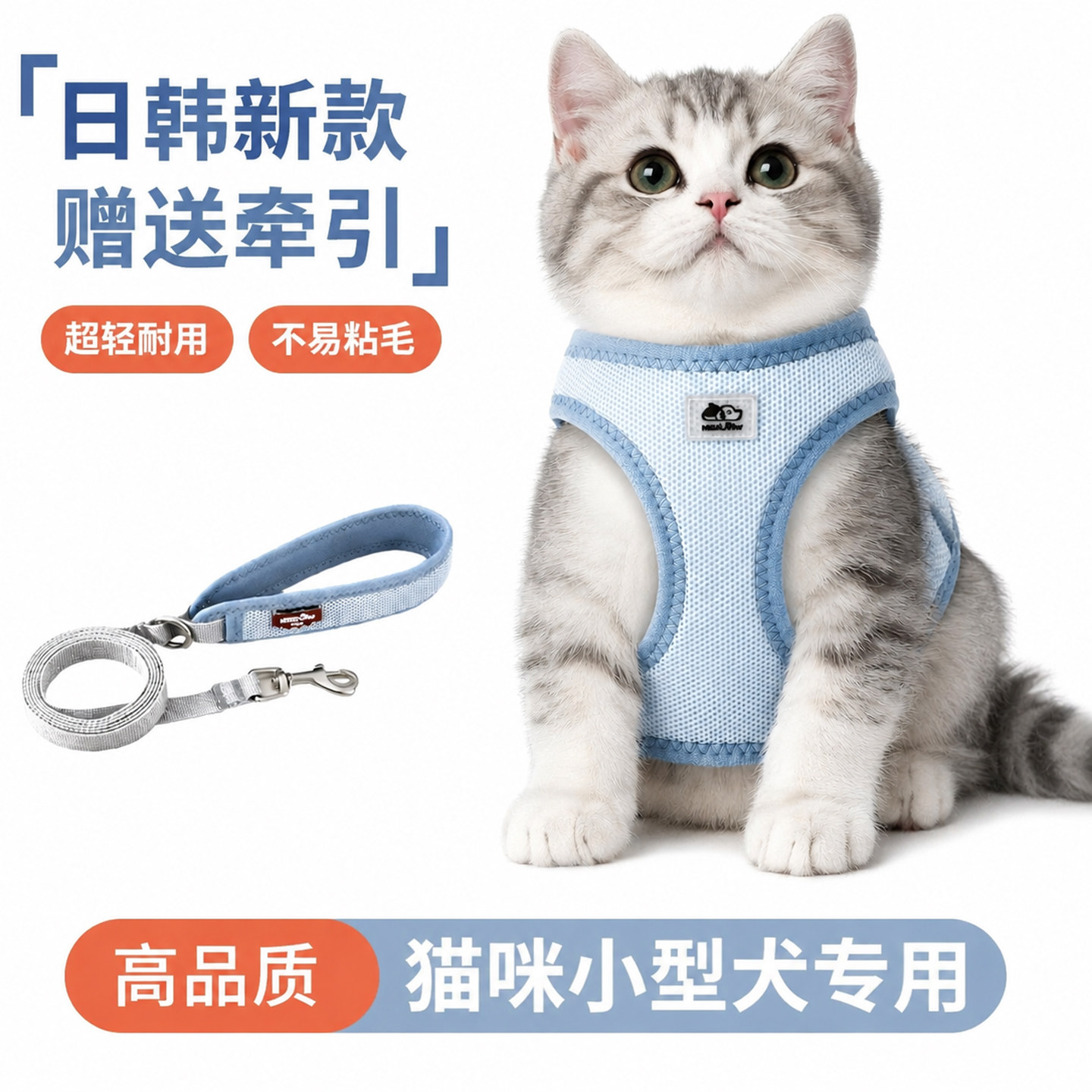 美国新款宠物胸背带牵引绳套装
