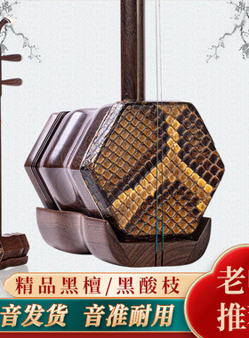 黑檀黑酸枝二胡厂家直销大音量