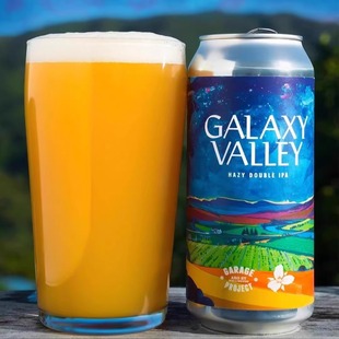 车库计划延龄草银河山谷双倍浑浊IPA啤酒罐新西兰进口精酿440ml*6