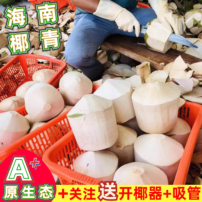 海南新鲜椰青正宗椰子蛋牛奶椰皇煲老黑鸡汤孕妇汁多水果整箱9个