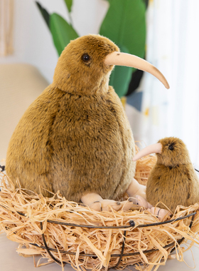 仿真小鸟KIWI几维鸟公仔抱枕毛绒玩具新西兰国鸟奇异鸟布艺玩偶