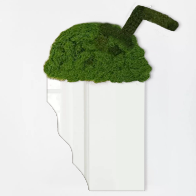 创意青苔藓异形墙面装饰穿衣镜图片