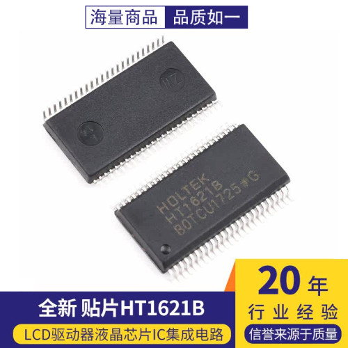 全新 贴片HT1621B SSOP-48 RAM映射 LCD驱动器液晶芯片IC集成电路