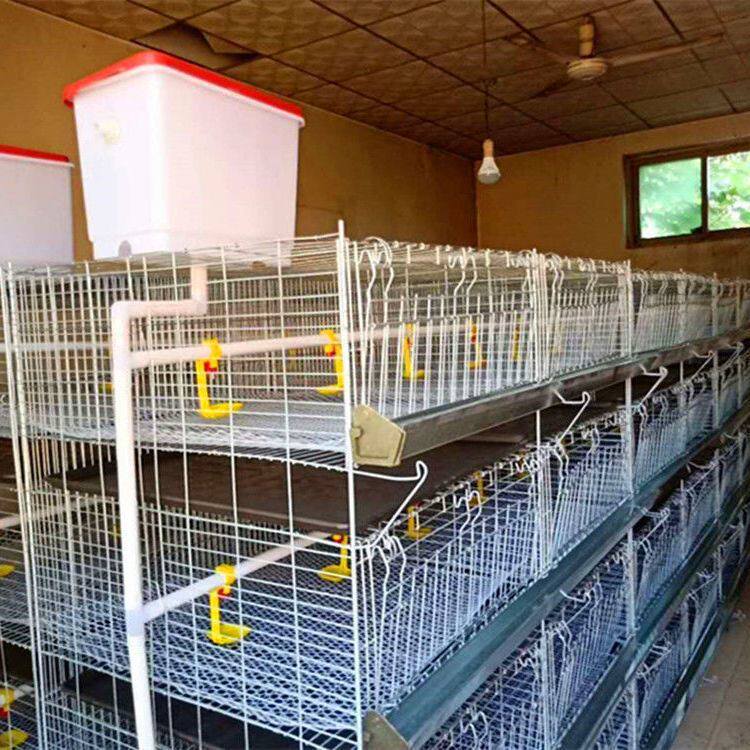 养鸡笼养殖设备鸡舍三层笼具层叠阶梯自制家用饲养自动四层适用鸡