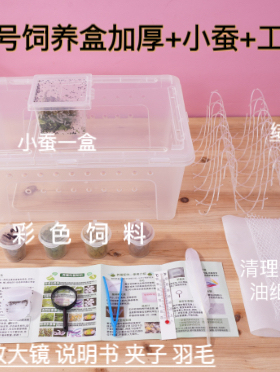蚕宝宝饲养盒乌龟爬虫盒1龄2龄3龄5龄蚕幼虫学生养蚕套装蚕卵桑叶