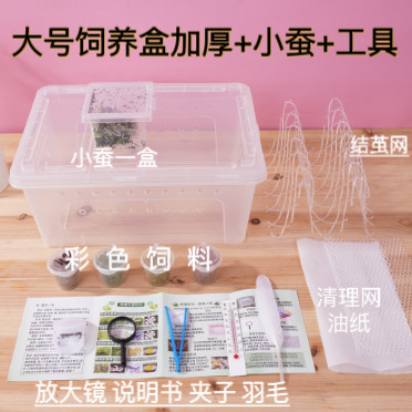 蚕宝宝饲养盒乌龟爬虫盒1龄2龄3龄5龄蚕幼虫学生养蚕套装蚕卵桑叶