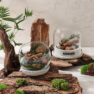 自然山野冷杉系列无火香薰器皿空杯扩香石居家摆件diy礼物