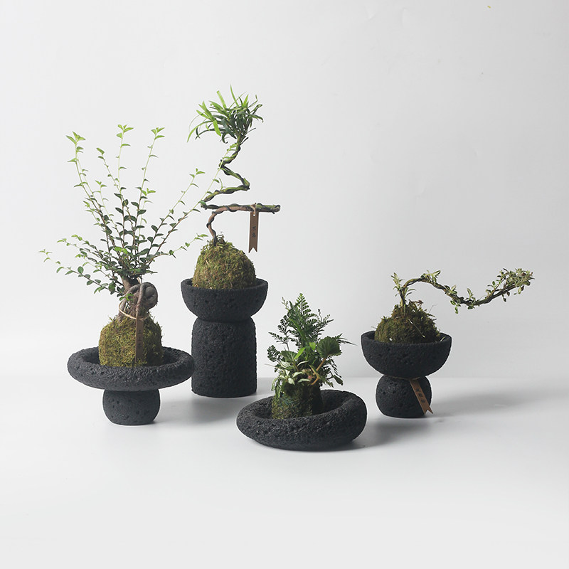 北欧简约暗黑月球纹奶油风系室内景观盆复古花插蕨类山乌龟水泥盆