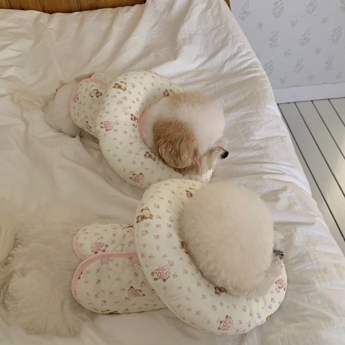 【纯棉碎花】NomiPet 宠物纯棉伊丽莎白圈 可拆洗猫狗绝育防舔咬,宠物/宠物食品及用品,宠物伊丽莎白圈,淘宝优惠券,粉丝福利购,淘宝优惠卷