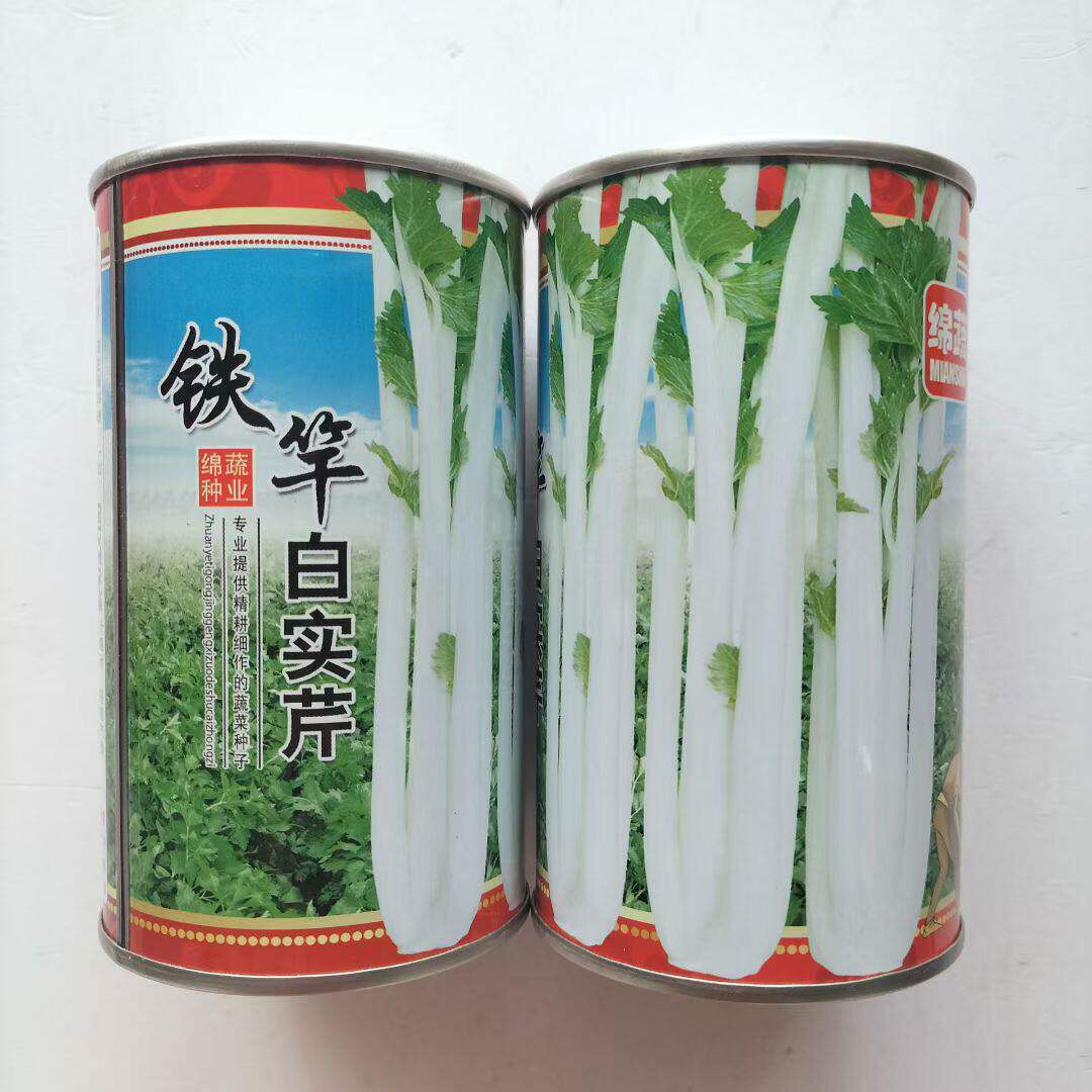 绵蔬铁杆白实芹芹菜种籽脆嫩高产抗病耐热四季播实心嫩白芹菜种子