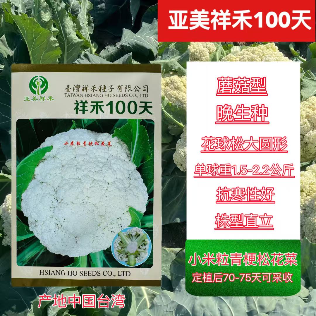 祥禾100天台湾花椰菜种子高产抗病耐热农家菜园基地种植蔬菜种籽