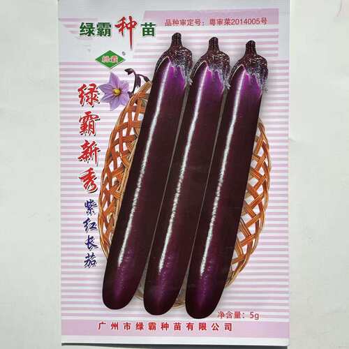 绿霸新秀紫红长茄种子中早熟深紫红长棒茄子种子白色果肉大田种