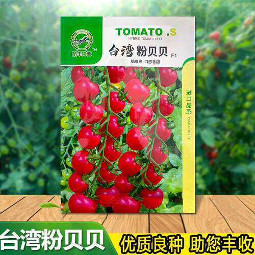台湾粉贝贝种籽番茄种子小西红柿种孑圣女果小柿子春季樱桃小番茄