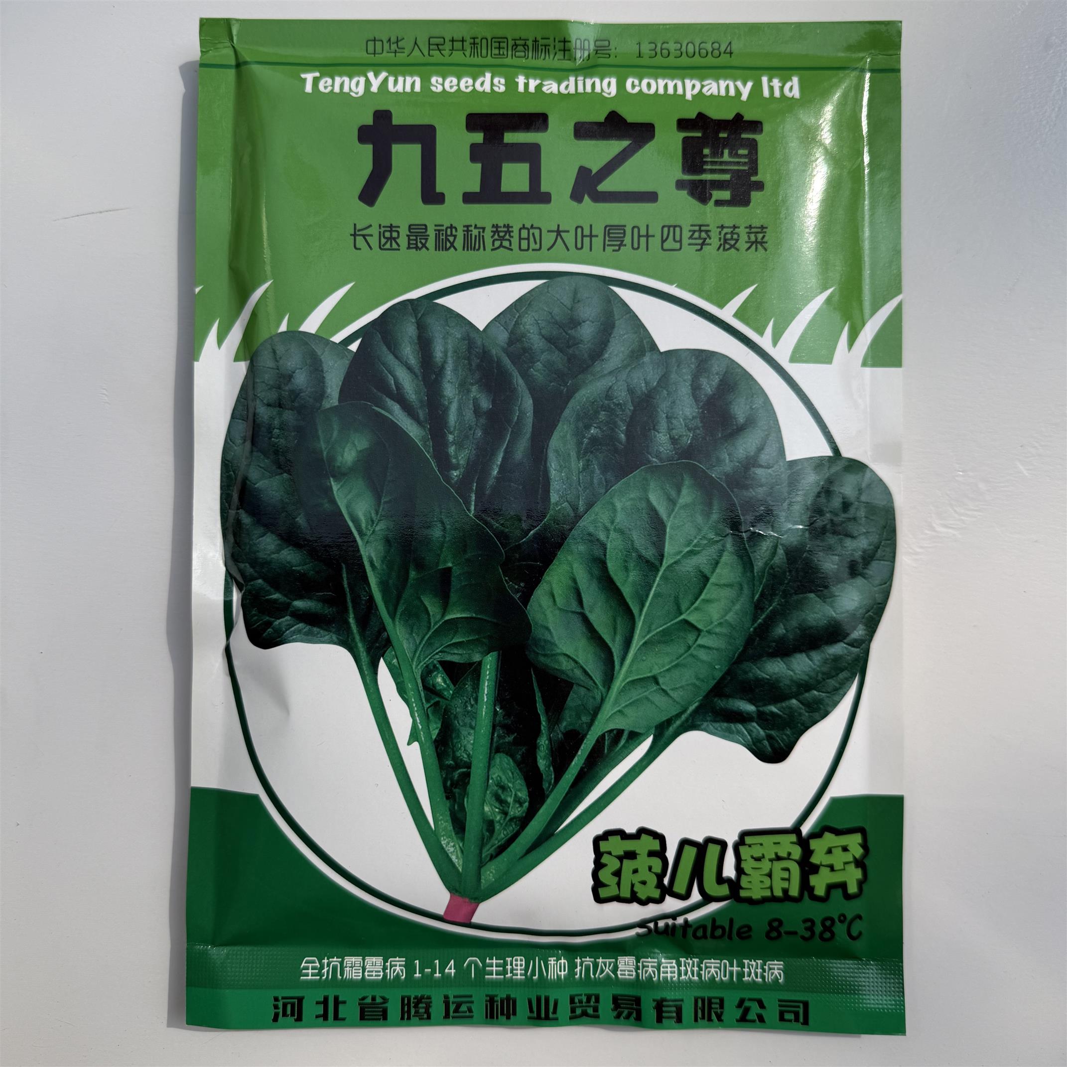 耐热菠菜九五之尊黑亮菠菜种子高产耐热耐寒四季菠菜种籽蔬菜种子